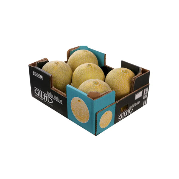 SWEETMELON YEMEN CARTON