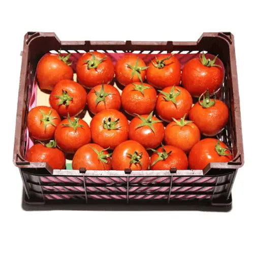 TOMATO 7 KG