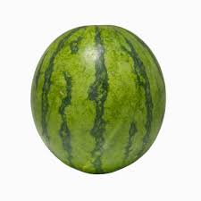 WATERMELON AFRICA