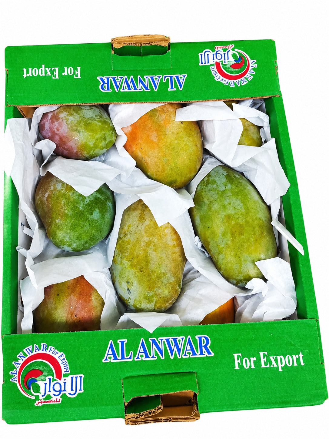 MANGO BOX AUSTON