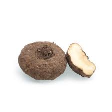 YAM INDIA