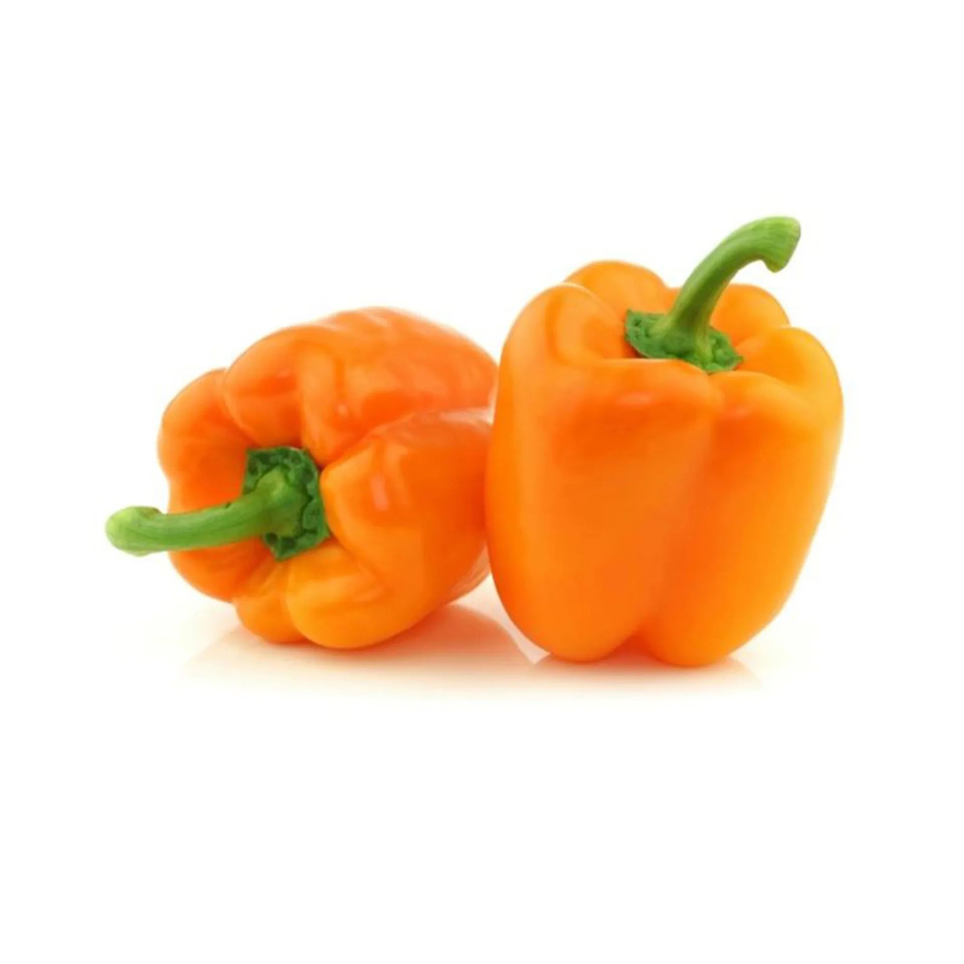 CAPSICUM ORANGE