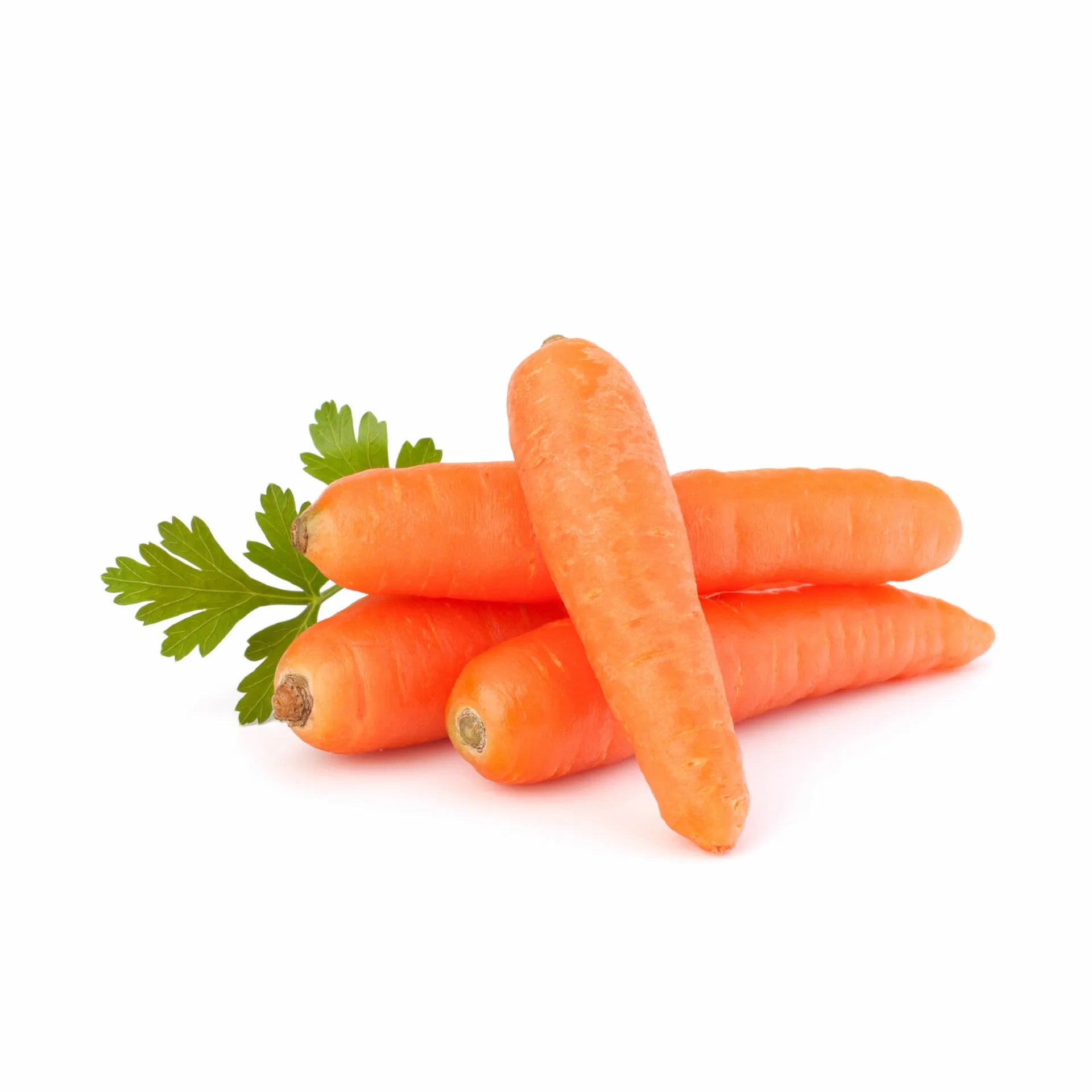 CARROT