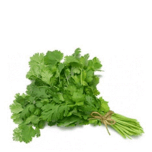 Coriander leaves