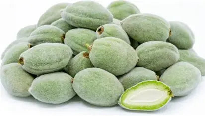 ALMOND GREEN LEBNON