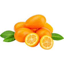 KUMQUATS ROCKET
