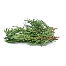 ROSEMARY LEAVES