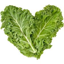 KALE LEAF