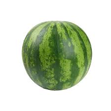 BABY WATERMELON