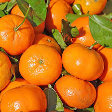 Clementine With Leaves