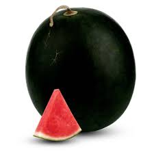WATERMELON TURKEY