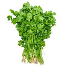 CORRIANDER LEAVES FRESH