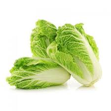 CABBAGE CHINA