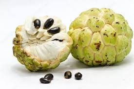 CUSTARD APPLE LEBNON II
