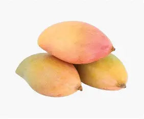 MANGO THOTAPURI