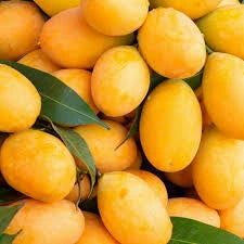 Marina Plums