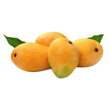 MANGO CAMBODIA