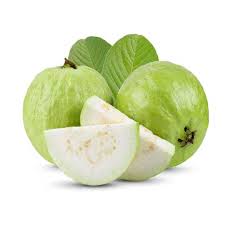 GUAVA INDIA
