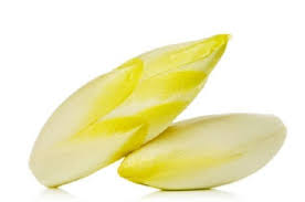 CHICORY WHITE