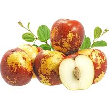 FRESH JUJUBE CHINA