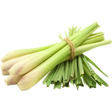 LEMON GRASS