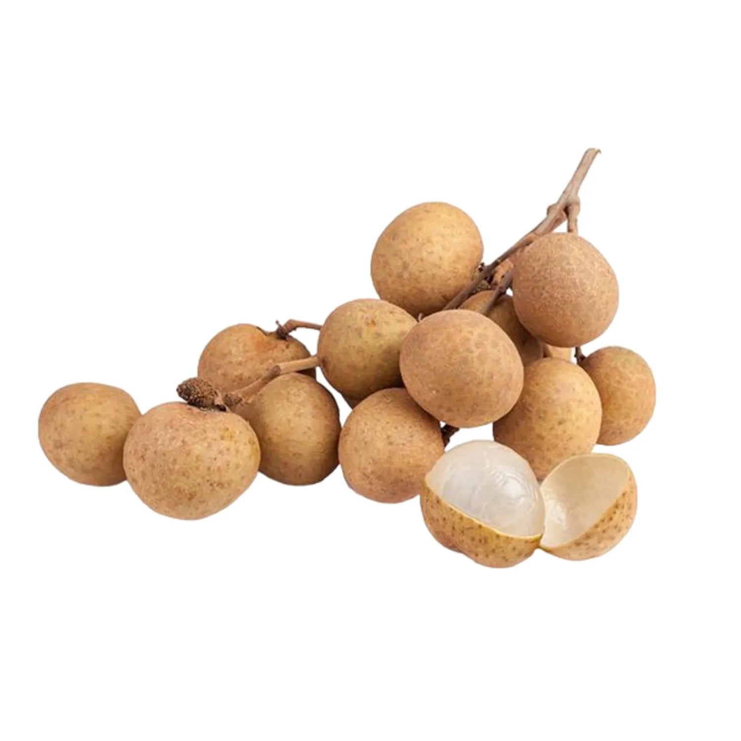 LONGAN FRUIT