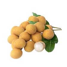LONGAN FRUIT