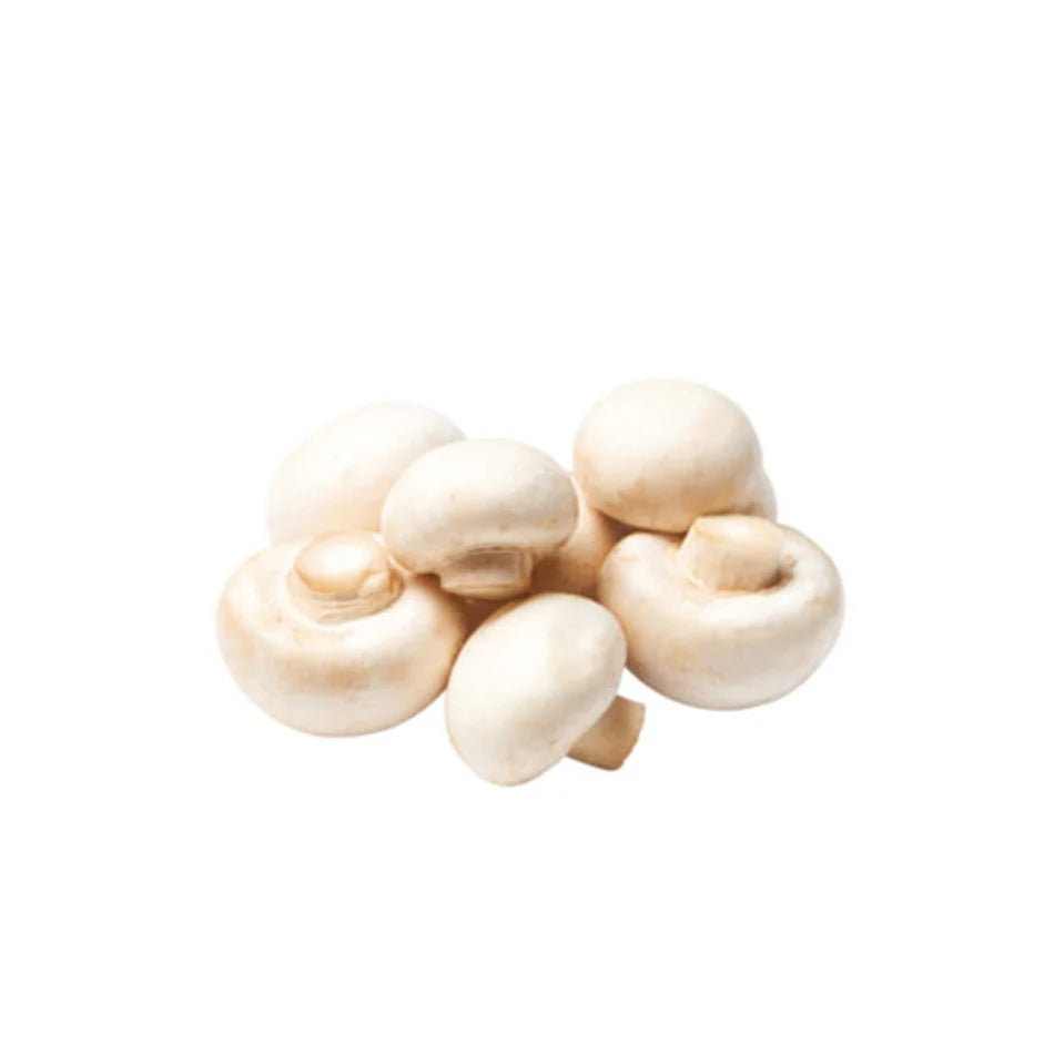 Mushroom white
