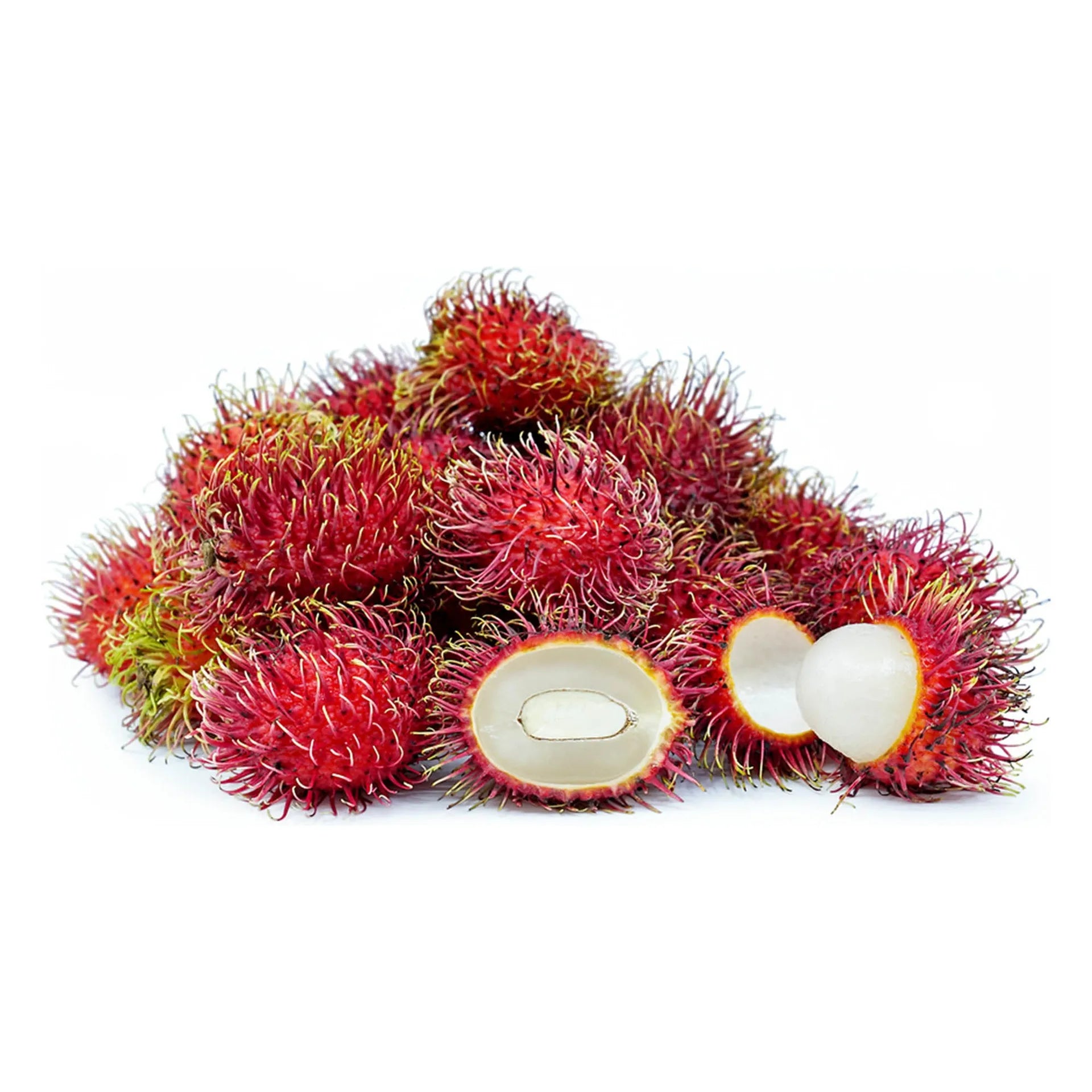 RAMBUTAN