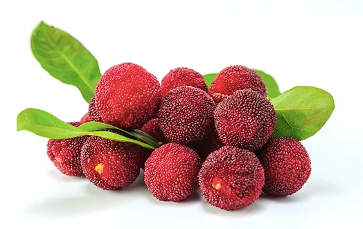 Waxberry